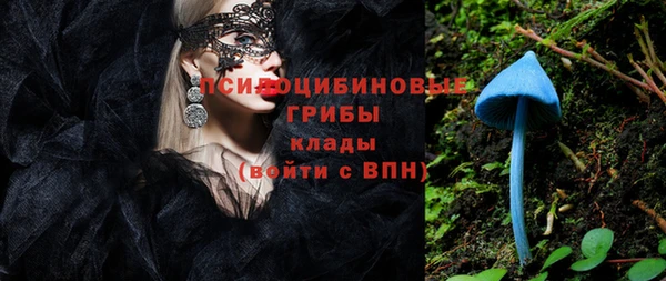 ALPHA PVP Каменногорск